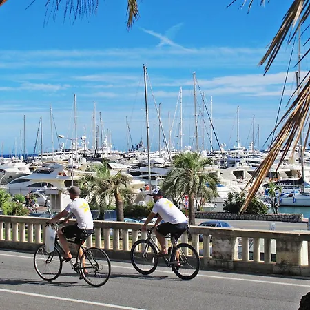 Modern Nest By Interhome Sanremo